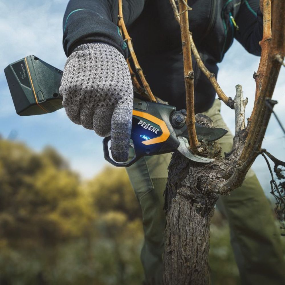 SECATEUR PELLENC PACK C3X-3